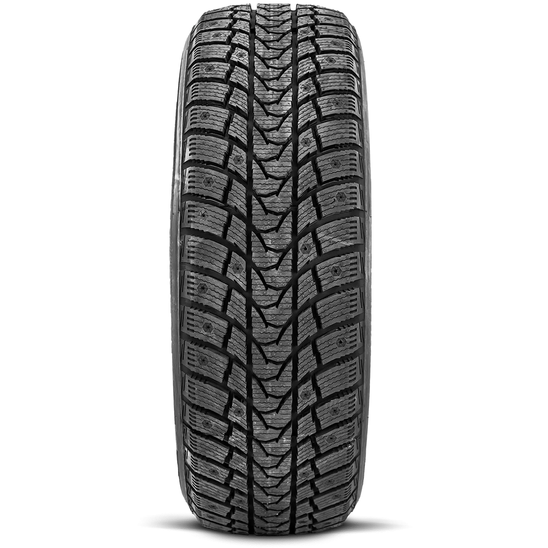 205/50R17 XL Greentrac Winter Master S1 93H